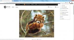 Chrome Extension Example
